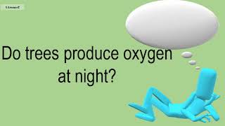 Do Trees Produce Oxygen At Night?
