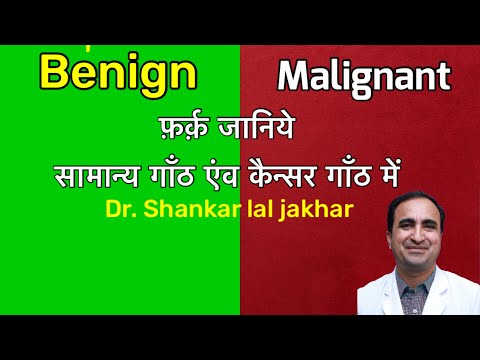 वीडियो: कमरे पिल्ला बाउल बनाएं: मछली, बिल्ली के बच्चे, और खरगोश खेलने के लिए तैयार हैं