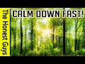 &quot;White Light Calming&quot; Quick Calm-Down For Stressful Situations (Guided Meditation)