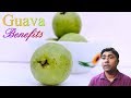 8 NUTRITION FACTS &amp; AMAZING HEALTH BENEFITS OF GUAVA