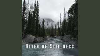 Calm Waters Yoga Rhythms