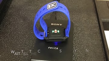 Heart Rate Monitors - JMS PE