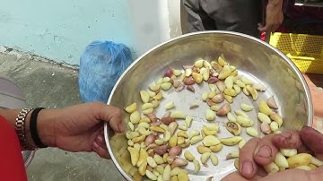 THỬ MÁY, LỘT VỎ TỎI HÀ NỘI ( TỎI TÍM),TỎI BẮC, HÀNH CHO KHÁCH HN, TAI VP TECH GARDEN, HCM.