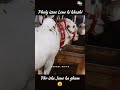 22 May 2026