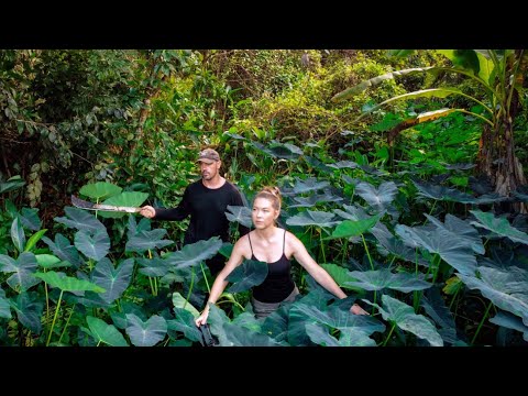 ⁣EXCITING DISCOVERY ON OUR ABANDONED RAINFOREST LAND!