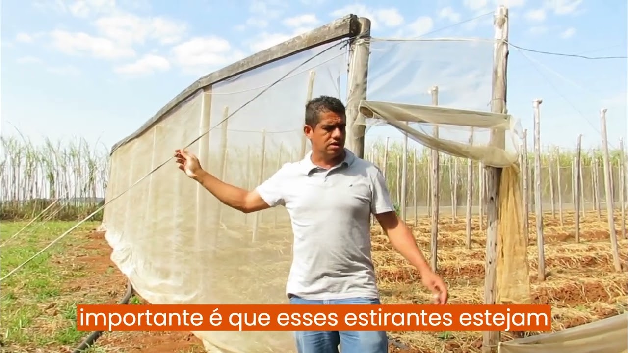 Modelos de ESTUFA de BAIXO CUSTO