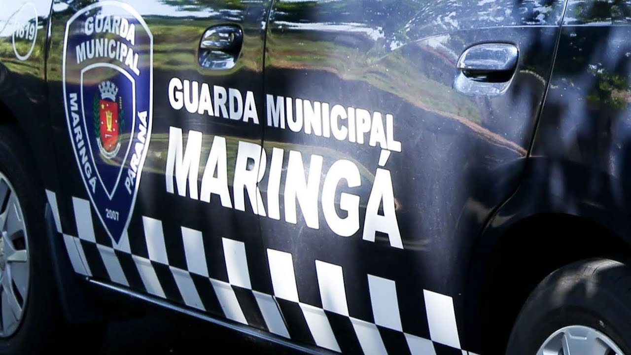 GUARDA MUNICIPAL E GUARDA PATRIMONIAL DE MARINGÁ