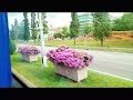 Beautiful City Putrajaya. Malaysia