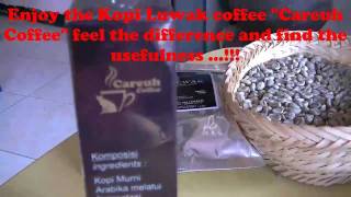 Kopi Luwak Coffee By Careuh Coffee