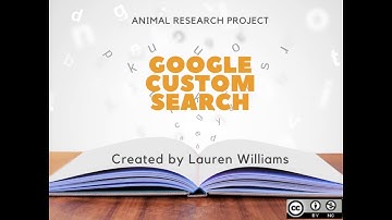 Google Custom Search