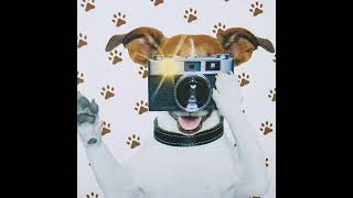 Live powered by Swish Live app RED VS GREEN screenshot 2