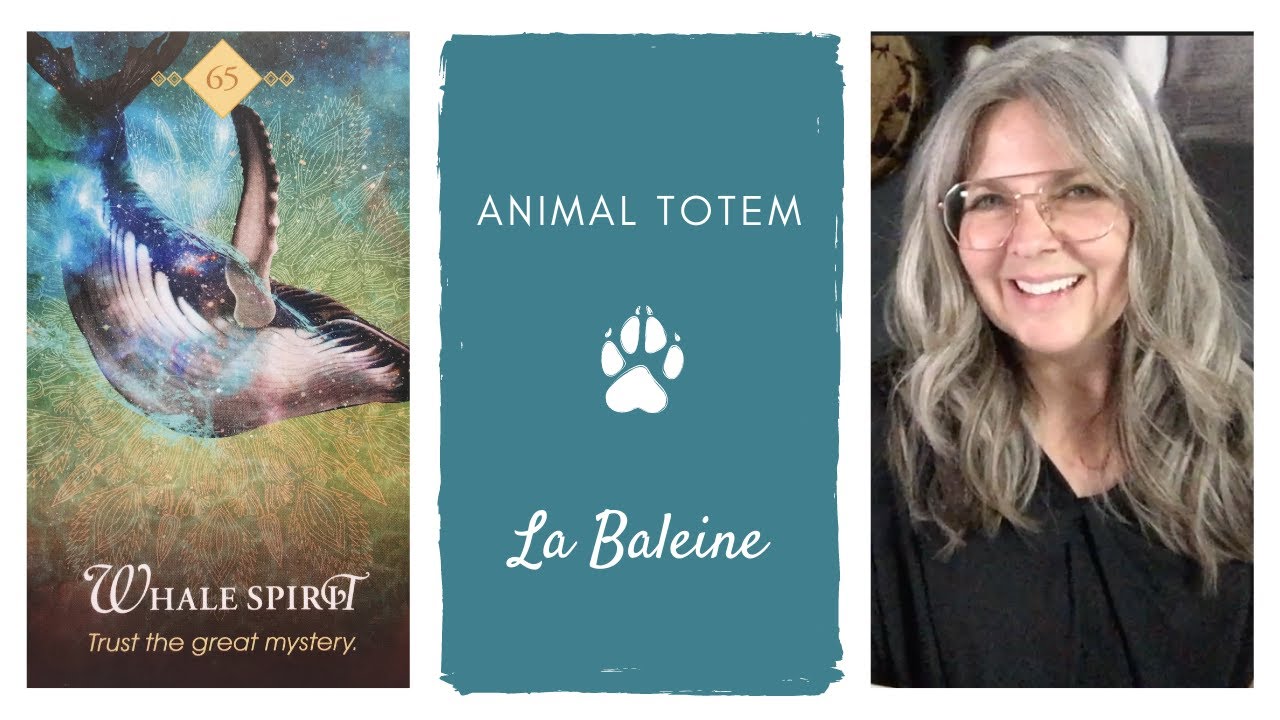 Animal TOTEM La Baleine 🐳 CHAMANE URBAINE YouTube