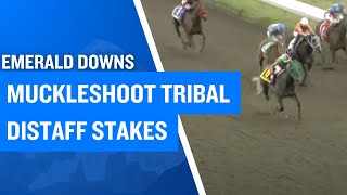 2025 $50,000 Muckleshoot Tribal Distaff Stakes at Emerald Downs