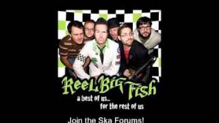 Where Have You Been (skacoustic) - Reel Big Fish chords