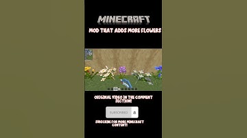 More Flowers in Minecraft!🌻 for the name of the mod check the comsec #minecraft #shorts