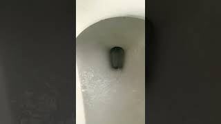 2000S Gerber Toilet Flushing (Again)