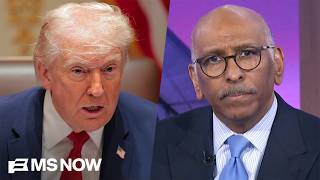 ‘A country at war, and Congress goes home': Steele slams GOP for dismissing Trump's war Net Worth