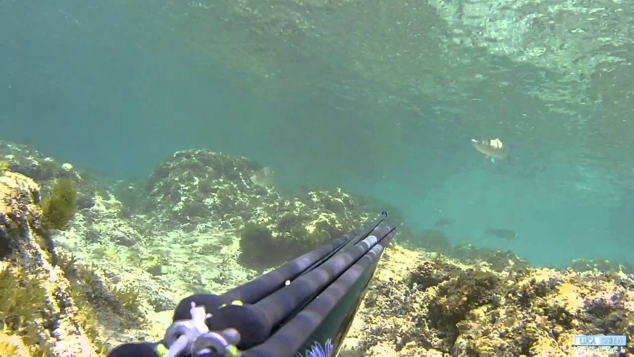 vacanza pesca sub croazia