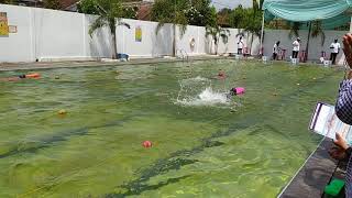 Juara 1 Renang papan kaki gaya bebas Putri SD