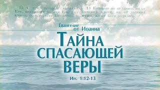 Проповедь: "Ев. от Иоанна: 5. Тайна спасающей веры" (Алексей Коломийцев)