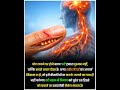 दर्द का अलार्म: नोसिसेप्टर्स (Nociceptors)हमारी पूरी त्वचा, मांसपेशियों और अंगों में अरबों विशेष