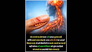 दर्द का अलार्म: नोसिसेप्टर्स (Nociceptors)हमारी पूरी त्वचा, मांसपेशियों और अंगों में अरबों विशेष