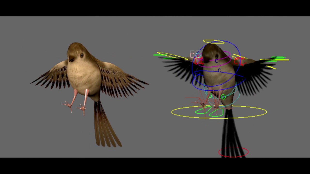 rigged models for maya rigged models for maya