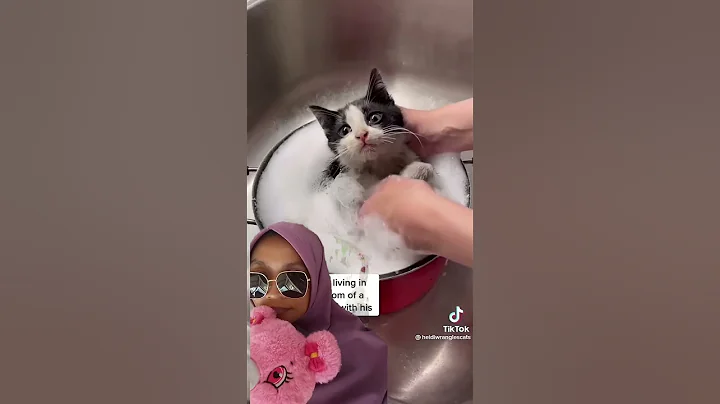 Watch the video about Take a Bath kitten #cat #cathealth #kitten #catproblems #catlover #catrescueteam #catfood #straycat