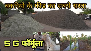 बकरियों का सबसे सस्ता और पोष्टिक फीड का 5G फार्मूला | best goat feed ka 5g farmula | pkraj vlogs