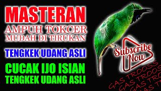 Download Lagu MASTERAN TENGKEK UDANG ASLI \u0026 TENGKEK UDANG KW SUPER MP3