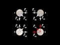 Gravitational Forces and Newton's Universal Law Explained