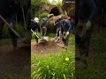 Yard and garden transformation | Raised water structures #transformation #spacemusic #landscape