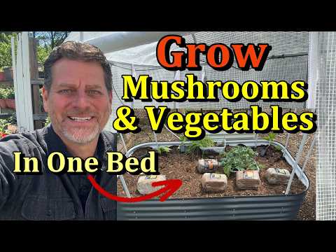 How To Set Up And Grow Mushrooms & Vegetables In One Garden Bed (northspore's Mycosphere)