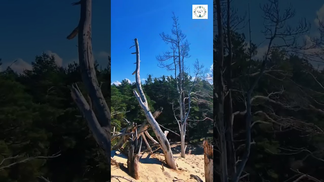 Stilo - Latarnia, wydmy i tajemnicze mgły Bałtyku... 