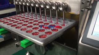 Desktop small gummy candy depositor jelly candy making machine screenshot 3