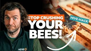Removing Burr Comb: Keep Your Hive Clean, Safe, and Manageable