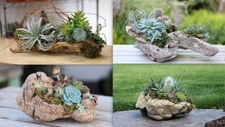 4 Ideas for Adhering Succulents to Driftwood and Rocks 🌿