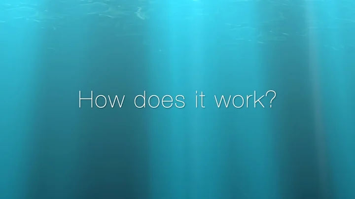 How RDI Works