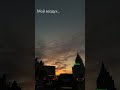 21 ноября 2024 г.
