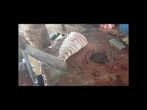 Cut Fish In 5 Seconds Amazing Fishing Life Made In Sri Lanka #Shorts