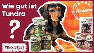 hundemantel für kleine hunde Wasserdichter Hundemantel für Dackel – Neonorange, 10.000mm, wärmend –  lumiies main image 0