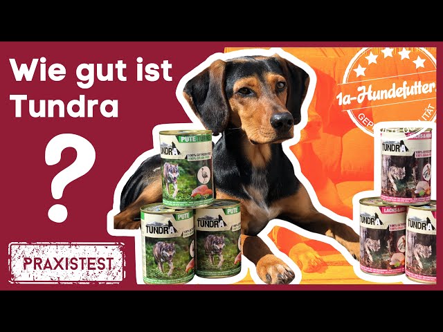pets deli nassfutter Petsdeli Wildschwein mit Reis, roter Beete & Oregano – EMMY&PEPE main image 0
