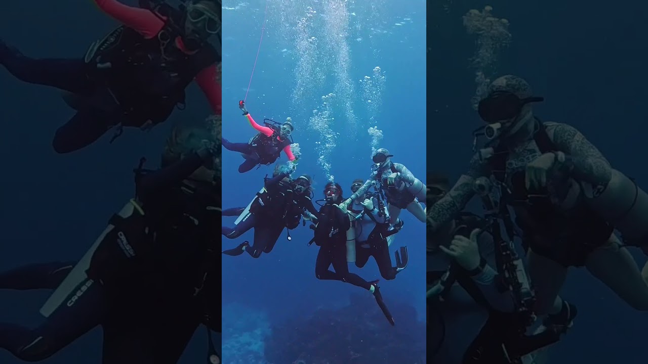It’s just over a year away! Join me for a women only dive trip to Belize. See my website for details
