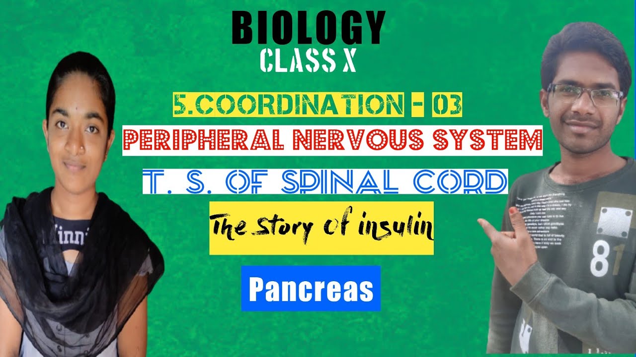 Coordination 03 | Class X Biology |Soumya Gayathri | Sukumar Sir | Hazzu TV | Sukumar Sir Students