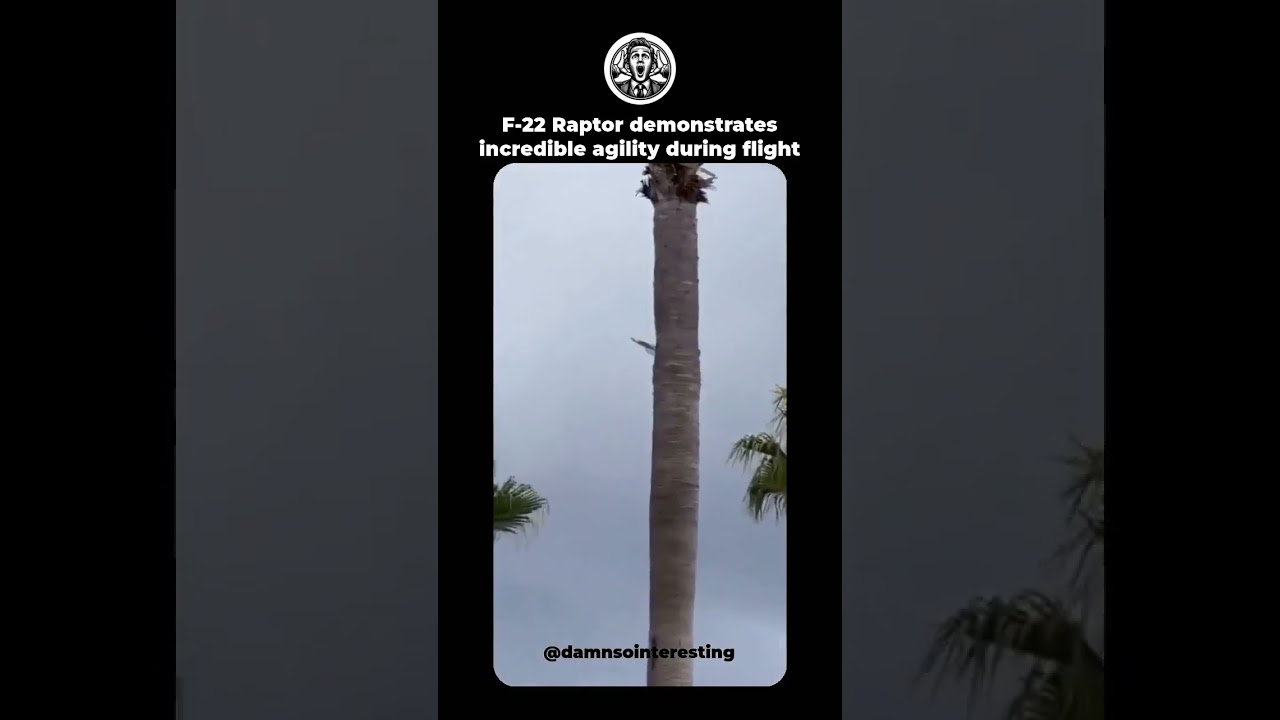 F-22 Raptor demonstrates incredible agility during flight