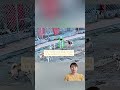 Dog video #animal _025#animals #shorts