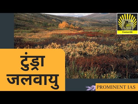 टुंड्रा जलवायु || Tundra Climate || Main Features ||