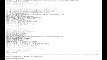 DMR Master Server Pt2 Install packages HBlink