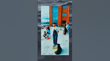 Có chú chó rất thân thiện, em thử vuốt ve nó xem 😂