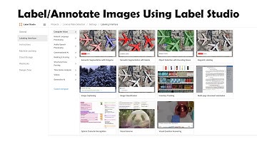 How To Label/Annotate Dataset Locally Using Label Studio For Machine Learning/Deep Learning 🎨🖌️